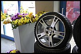 abt_verona-italy 001.jpg